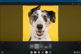 Chromebook Video Editor - Crop and Rotate share videos from your chromebook