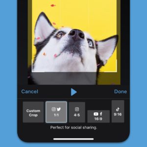 crop-videos@1x share videos from your android